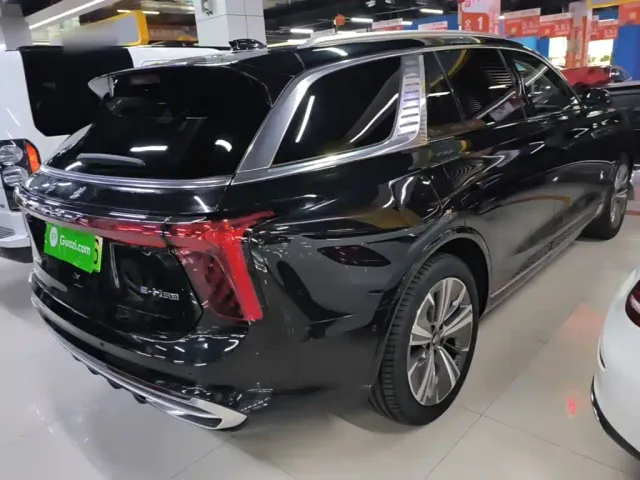 Hongqi E-HS9 — Фото автомобиля 6