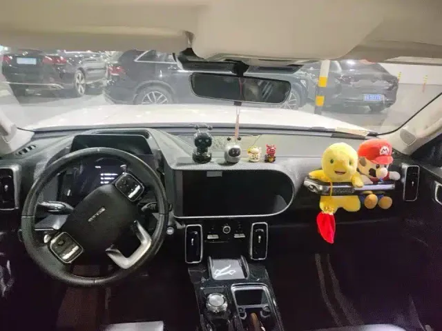 Haval Big Dog — Фото автомобиля 8