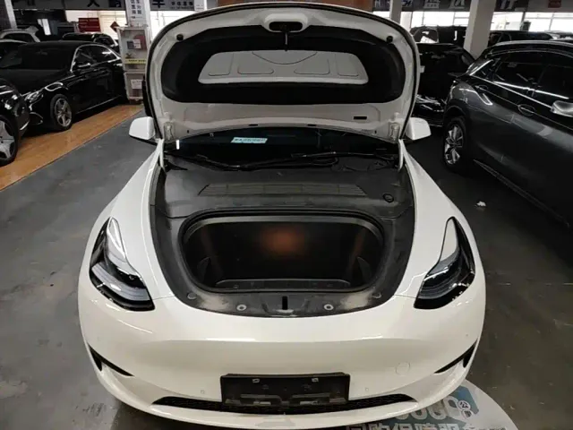 Tesla Model Y — Фото автомобиля 19