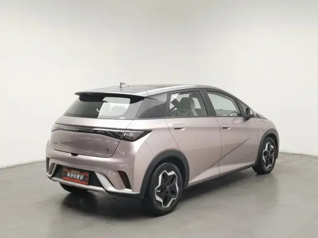 BYD Dolphin — Фото автомобиля 2
