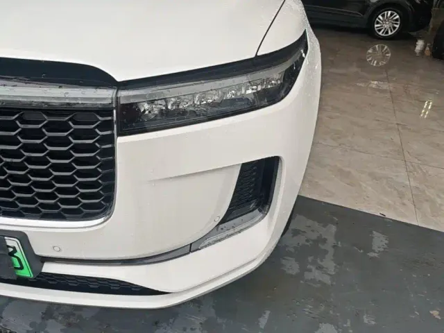 Li Auto Li ONE 2021 Extended Range 6-Seater — Фото автомобиля 23