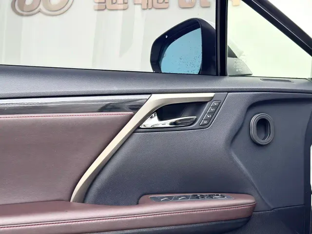 Lexus RX — Фото автомобиля 16