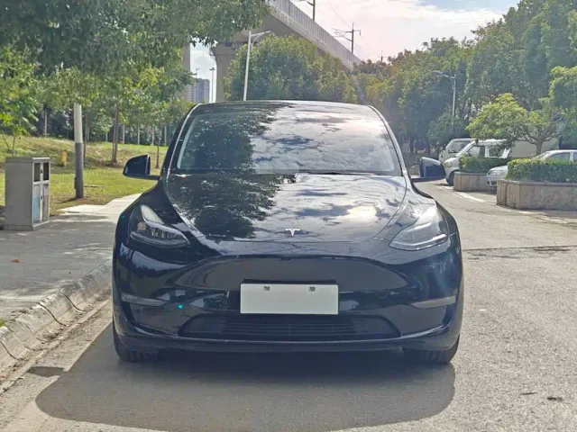 Tesla Model Y — Фото автомобиля 3