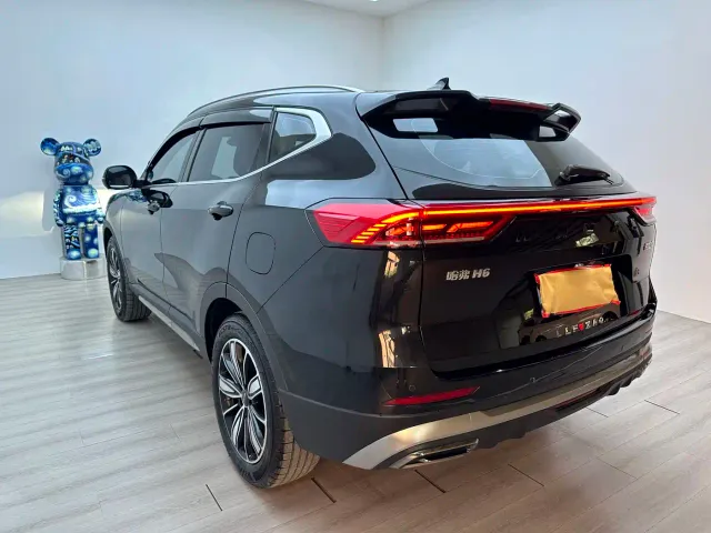 Haval H6 — Фото автомобиля 6