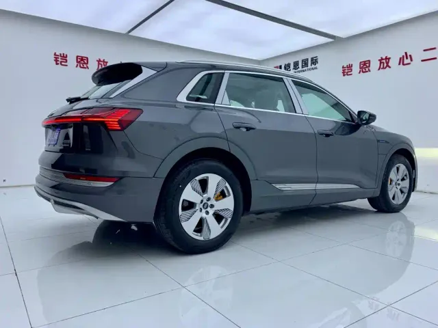 Audi e-tron — Фото автомобиля 6
