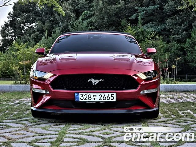 Ford Mustang — Фото автомобиля 3