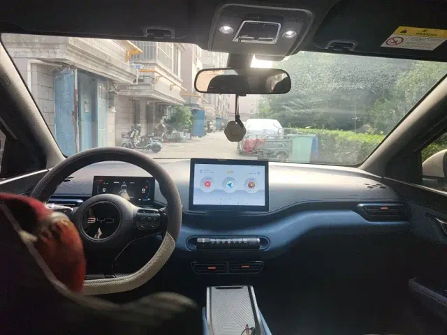 BYD Seagull 2024 Glory Edition 305km Vitality Edition — Фото автомобиля 5