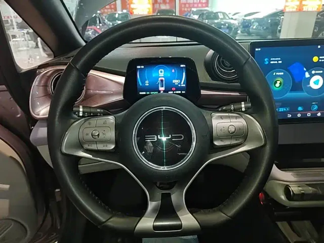 BYD Dolphin — Фото автомобиля 10