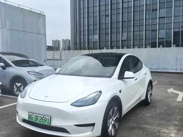 Tesla Model Y — Фото автомобиля 2