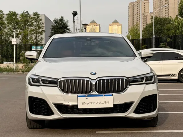 BMW 5 Series — Фото автомобиля 19