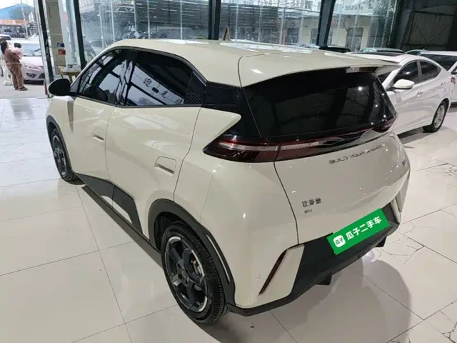BYD Seagull — Фото автомобиля 4
