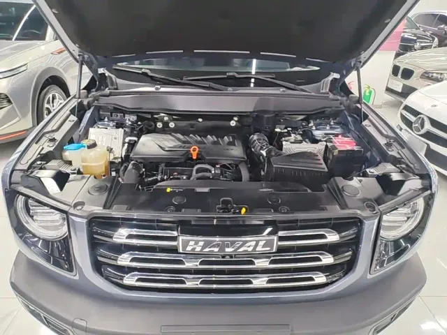 Haval Big Dog — Фото автомобиля 19