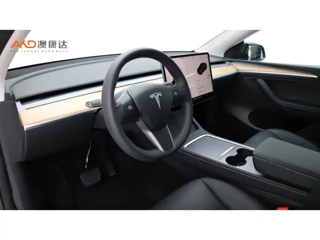 Tesla Model Y — Фото автомобиля 6