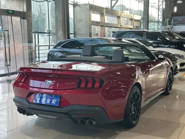 Ford Mustang — Фото автомобиля 6
