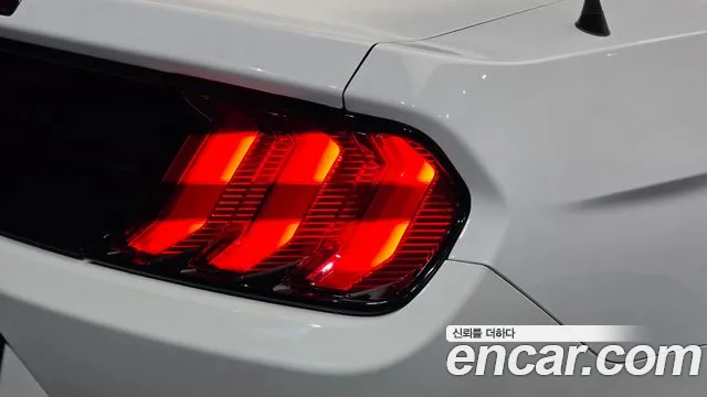 Ford Mustang — Фото автомобиля 8