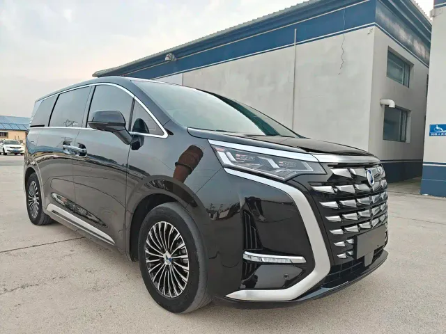 Denza Denza D9 2022 DM-i 1040 Premium — Фото автомобиля 3
