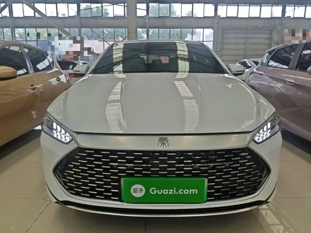 BYD Qin PLUS — Фото автомобиля 2
