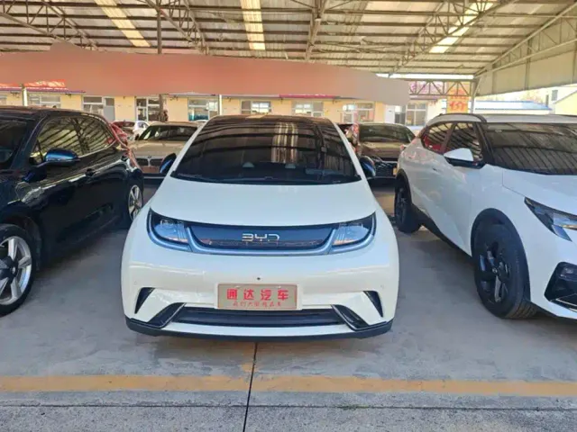 BYD Dolphin — Фото автомобиля 2