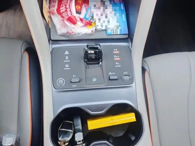 BYD Song PLUS — Фото автомобиля 10