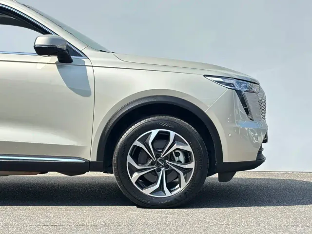 Haval Xiaolong MAX — Фото автомобиля 6