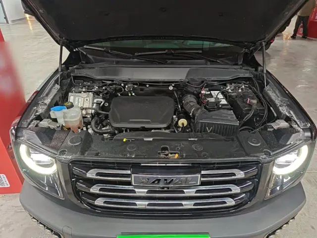 Haval Big Dog — Фото автомобиля 19