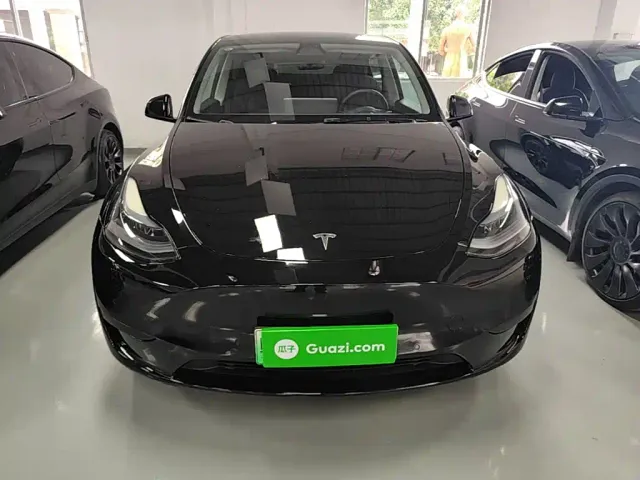 Tesla Model Y — Фото автомобиля 2