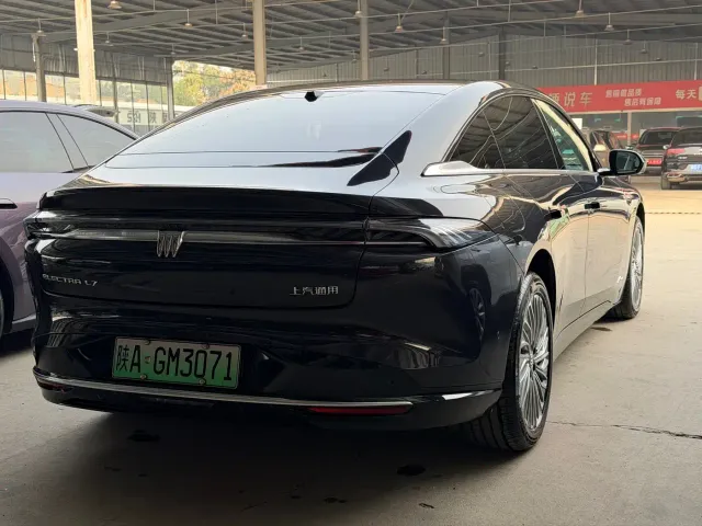 Buick Electra L7 — Фото автомобиля 19
