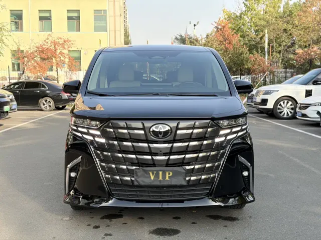 Toyota Alphard — Фото автомобиля 2