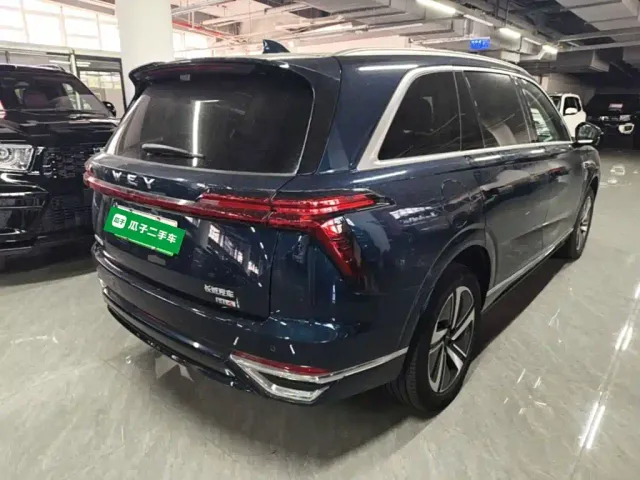 Wey Lanshan — Фото автомобиля 6