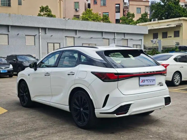 Lexus RX — Фото автомобиля 6