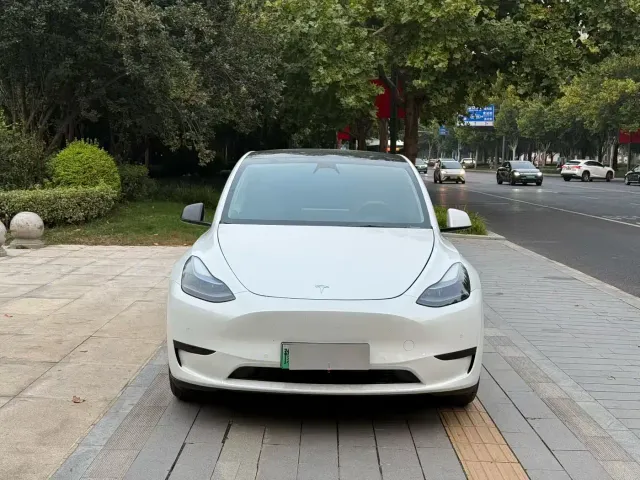 Tesla Model Y — Фото автомобиля 2
