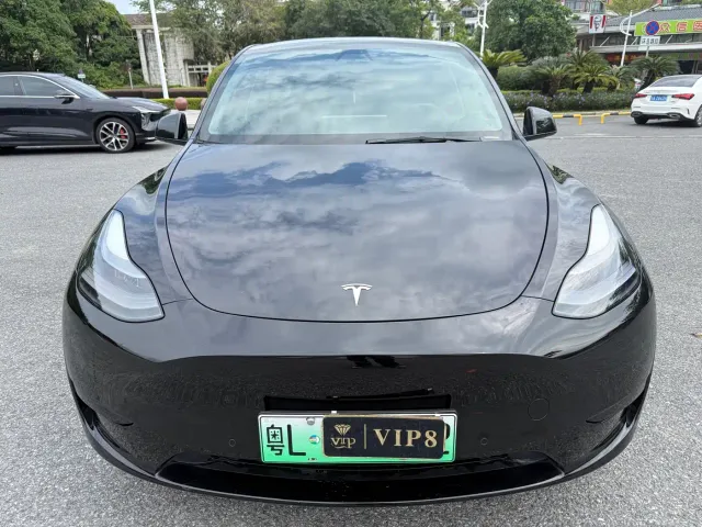 Tesla Model Y — Фото автомобиля 2