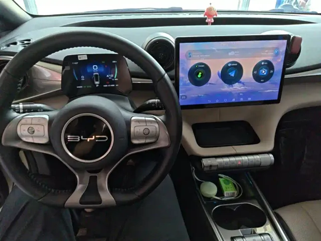 BYD Dolphin — Фото автомобиля 9