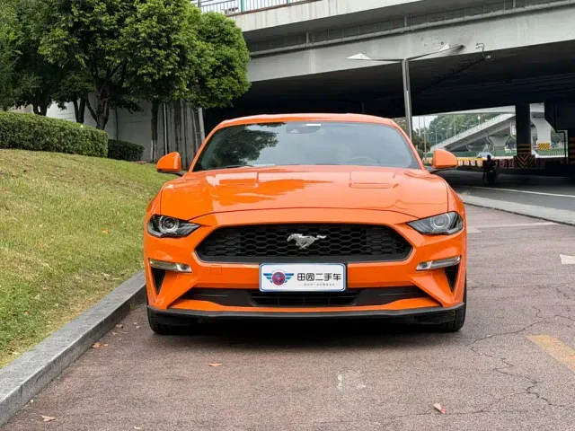 Ford Mustang — Фото автомобиля 2