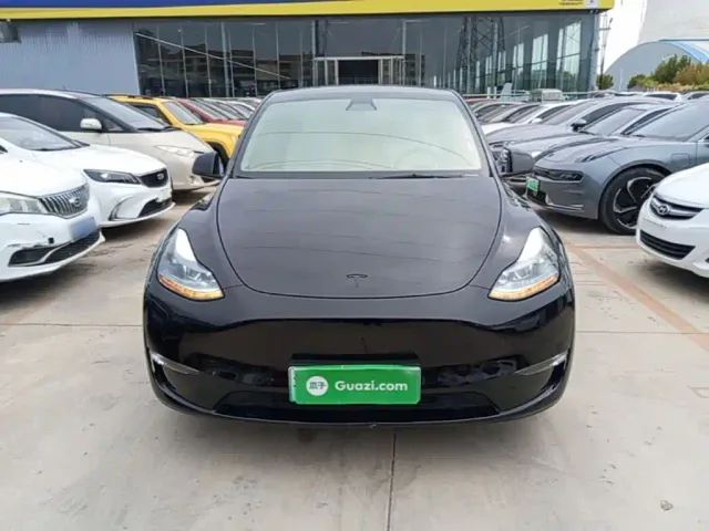 Tesla Model Y — Фото автомобиля 2