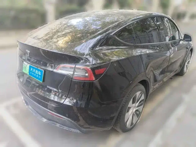 Tesla Model Y — Фото автомобиля 2