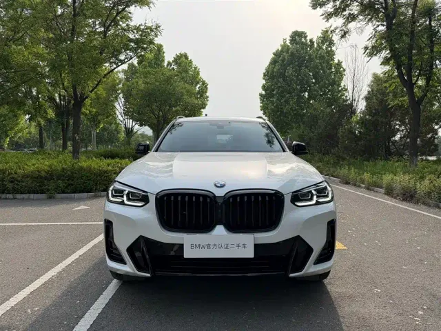 BMW X3 — Фото автомобиля 2