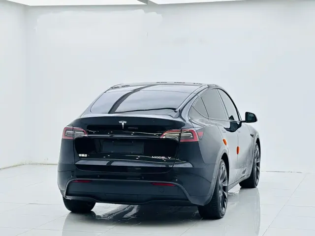 Tesla Model Y — Фото автомобиля 7