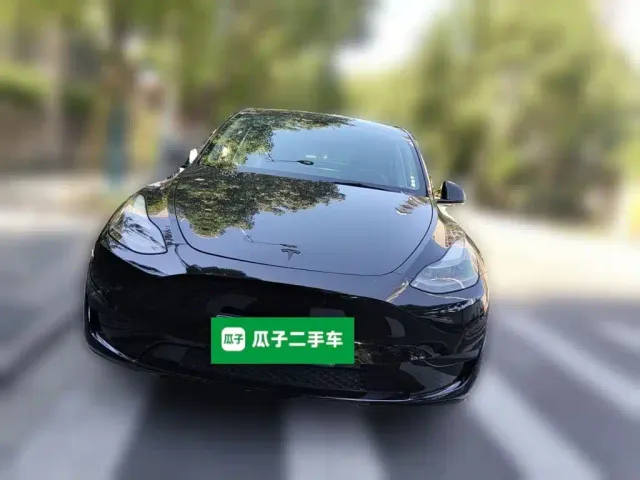Tesla Model Y — Фото автомобиля 2