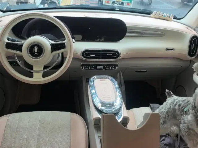 Ora Ballet Cat — Фото автомобиля 12