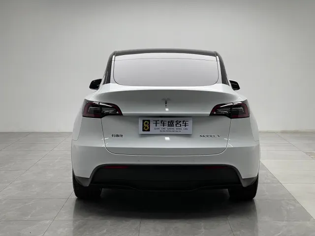 Tesla Model Y — Фото автомобиля 5
