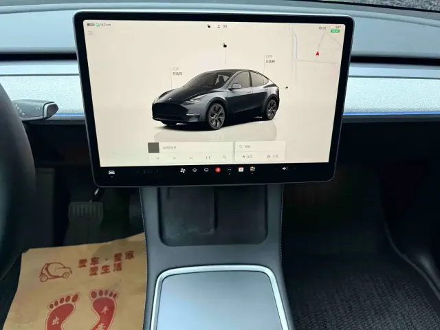 Tesla Model Y — Фото автомобиля 16