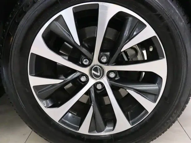Lexus RX — Фото автомобиля 19