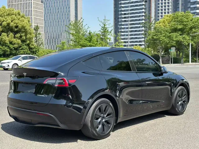 Tesla Model Y — Фото автомобиля 9