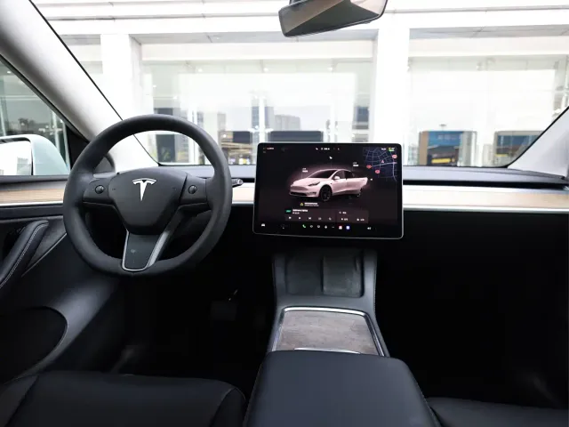 Tesla Model Y — Фото автомобиля 16
