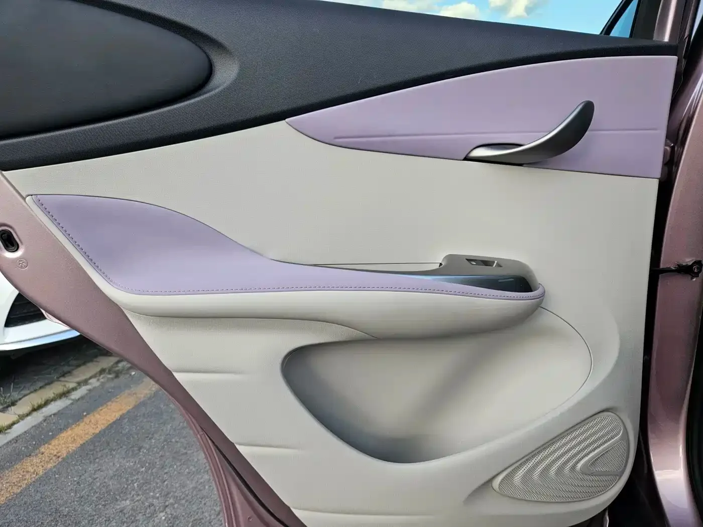 BYD Dolphin 2021 401km Knight Edition — Фото автомобиля 15