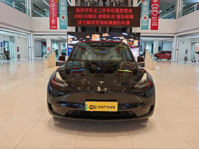 Tesla Model Y — Фото автомобиля 2