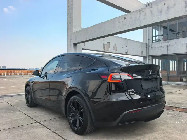 Tesla Model Y — Фото автомобиля 7