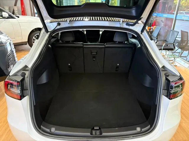 Tesla Model Y — Фото автомобиля 10