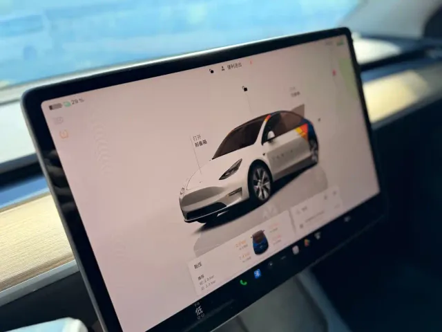 Tesla Model Y — Фото автомобиля 27